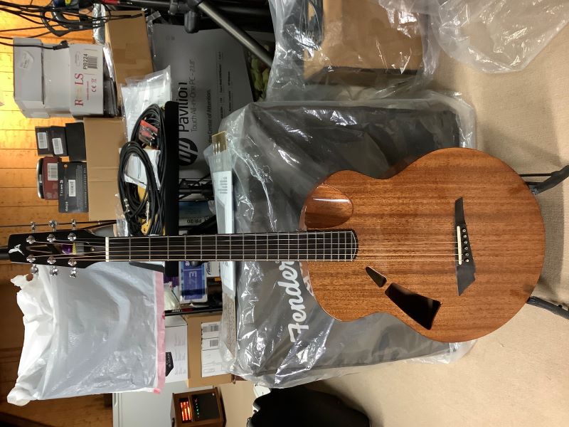 Skylark guitar acoustic clearance
